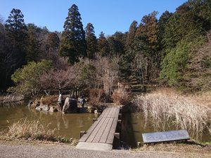 牟礼山 しょうぶ池
